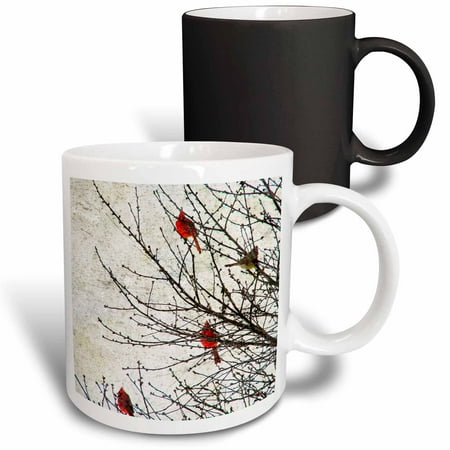 

3dRose Cardinals Photographed by Angelandspot Magic Transforming Mug 11oz