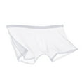thumbnail image 5 of zeranth Men Sexy Transparent See-Through Mesh Shorts Panties Ultra-Thin Seamless Breathable Mid-rise Underpants, 5 of 7