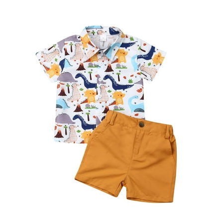 

2pcs Newborn Kids Baby Boys Summer Tops T-shirt Dinosaur Pants Shorts Outfits Clothes