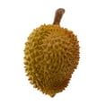 thumbnail image 3 of Realistic Simulated Fruits Durian, 3 of 6