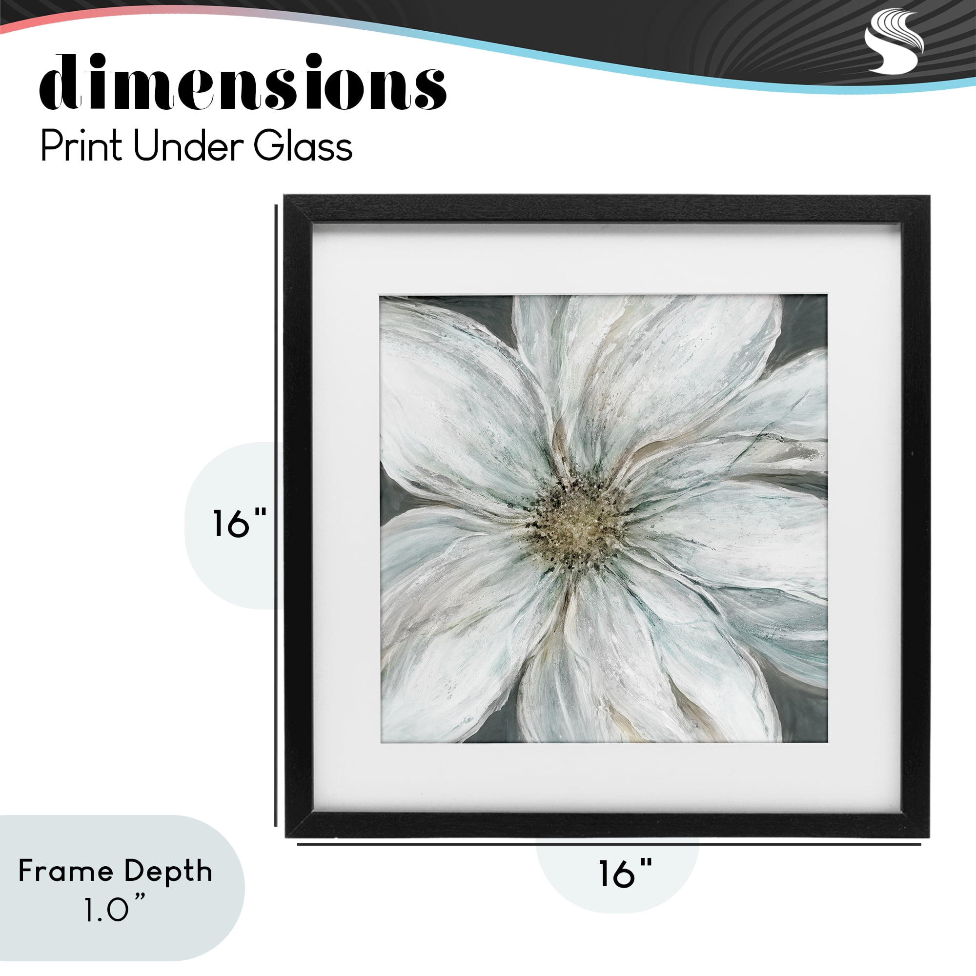 Stupell Industries Large White Flower Closeup Black Framed Print Under Glass, design by Carol Robinson