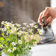 thumbnail image 4 of Regadera de Flores para Plantas, Botella Pulverizadora, Regadera de Vidrio Antiguo, Hervidor de Agua para Plantas, Rociador de Agua para JardíN C, 4 of 5