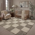 thumbnail image 1 of BERTHMEER 5'x7' Shag Area Rugs for Living Room Bedroom Kitchen Office Laundry Dorm Modern Checkered Contemporary Plush Soft Carpets Indoor Fuzzy Fluffy Washable Rugs, Gray White, 1 of 7