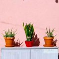 thumbnail image 5 of 15 Pcs Funny Wood Plant Labels 15 Styles Garden Labels with Plant Puns Leaf Decoration Wooden Markers for Indoor and Outdoor Flowers Vegetables Herbs Seed Potting 6.35x12cm, 5 of 7