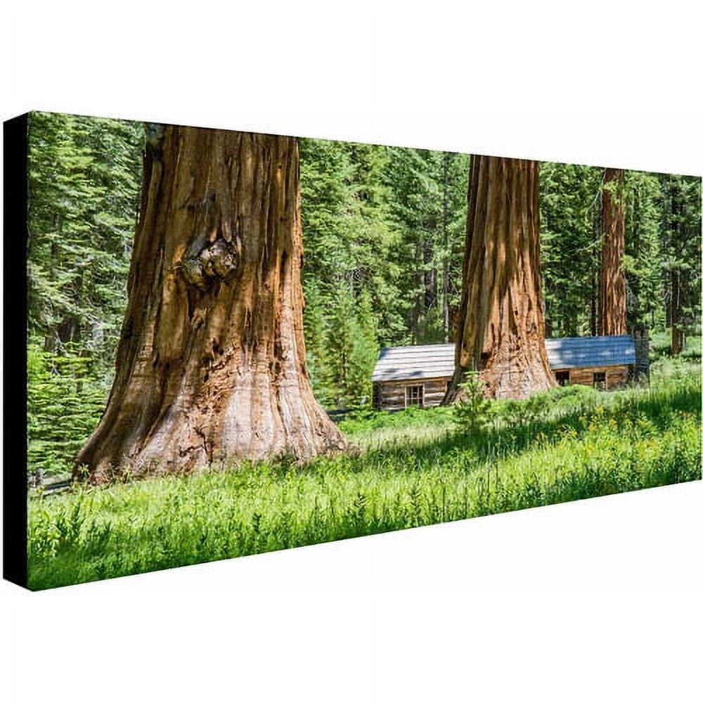 Trademark Fine Art "Giant Sequoia Cabin" Canvas Art by Pierre Leclerc