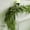 Green, variant on IPEWLEX Faux Green Cedar Needles Garland for Holiday Decor, 5.9ft