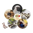 thumbnail image 3 of 1 juguete mordedor para perro., 3 of 3