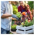thumbnail image 5 of Pro Cal 10 Gallon Premium Nursery Plastic Planter Flower Vegetable Garden Grow Pots with Drainage Holes for Outdoor and Indoor Use, Black, 5 Pack, 5 of 7