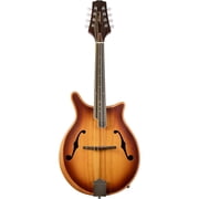 DM200E Double Cut Acoustic Mandolin -