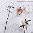 thumbnail image 4 of 10PCS Cotton Stems, Cotton Flowers Dried Cotton Picks Stalks Plants, Artificial Cotton Floral Stems Farmhouse Decorations for Vase Home Decor, 4 of 8