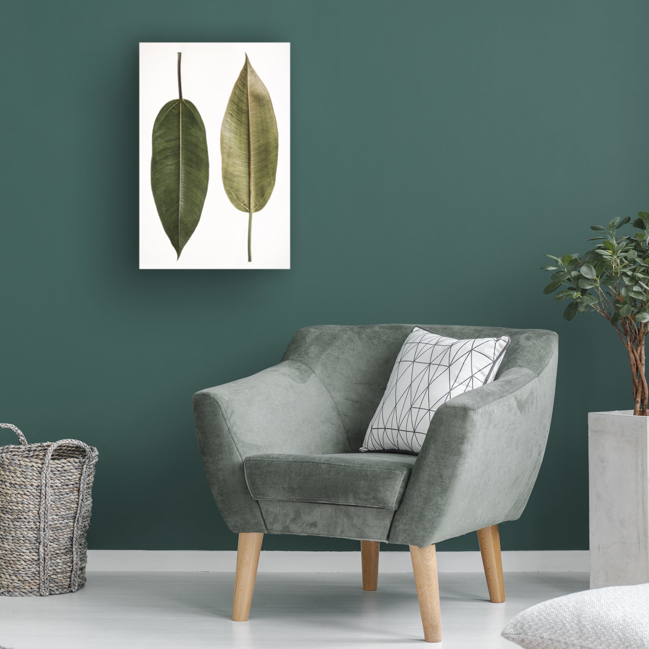Trademark Fine Art Shot by Clint Leaf Study 05 Canvas Wall Art