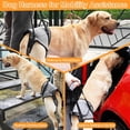 thumbnail image 4 of HUGFEGWE Dog Sling for Dogs Hind Leg Support, Dog Sling Lift Harness for Back Legs Rehabilitation, Powerful Support Hook and Loop Closure Adjustable Strap Large Elderly Dogs Lift Harness CA919-121576, 4 of 8