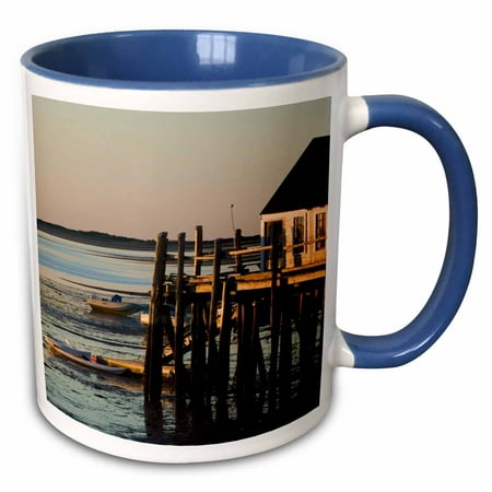 

3dRose MASSACHUSETTS Provincetown Harbor Cottage - US22 WBI0470 - Walter Bibikow - Two Tone Blue Mug 11-ounce