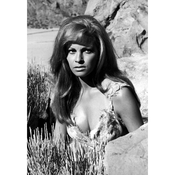 Raquel Welch Poster vintage bw pic Art Poster 24x36 Multi-Color Square Adults Z Posters