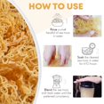 thumbnail image 4 of Raw Wildcrafted Sea Moss | Organic Wildcrafted & Non-GMO Certified | Dr Sebi Approved | Make 5 Jars of Sea Moss Gel | Immune Support, Energy &e Essential Minerals & Vitamins 4 oz, 4 of 5