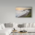 thumbnail image 3 of Trademark Fine Art 'Sonoma Coast I' Canvas Art by Alan Majchrowicz, 3 of 3