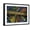 Black Frame, variant on Art.com Maine Escape IV Art Print by Jennifer Goldberger, Black Frame Wall Art, 21" x 17"