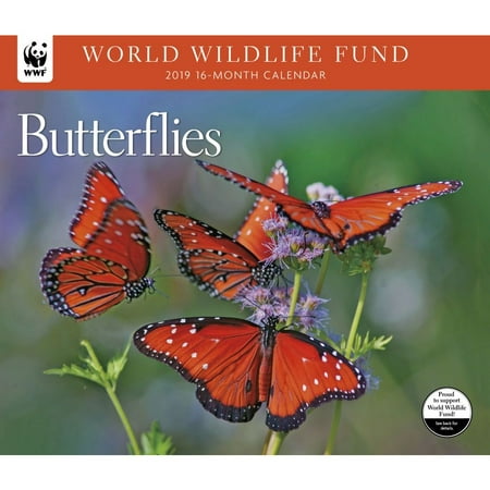 2019 Butterflies WWF Wall Calendar, by Calendar