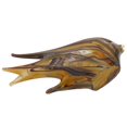 thumbnail image 5 of GlassOfVenice Murano Glass Angel Fish Sculpture - Golden Brown Waves, 5 of 8