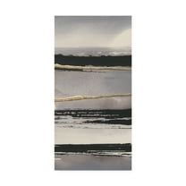 Trademark Fine Art 'Gilded Grey I Crop' Canvas Art by Chris Paschke