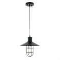 thumbnail image 3 of Flaneur 1 light Black Pendant, 3 of 5