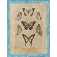 thumbnail image 2 of Vision Studio 19x24 Black Ornate Wood Framed with Double Matting Museum Art Print Titled - Bookplate Butterflies III, 2 of 4