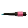 thumbnail image 4 of Eaton Tripp Lite Series 400G Multimode 50/125 OM4 Plenum Fiber Optic Cable, 24F MTP/MPO-UPC to 16F MTP/MPO-UPC (F/F), Aqua, 3 m - Network cable - MTP/MPO/UPC multi-mode (F) to MTP/MPO/UPC multi-mode (F) - 3 m - fiber optic - 50 / 125 micron - OM4 - plenum - black, magenta, aqua, 4 of 5