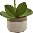 thumbnail image 3 of Nearly Natural 4569 Phalaenopsis Orchid in Ceramic Pot, 3 of 3