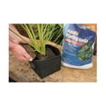 thumbnail image 2 of Aquascape 98501 6 in. x 6 in. Aquatic Plant Pot, 2 of 3
