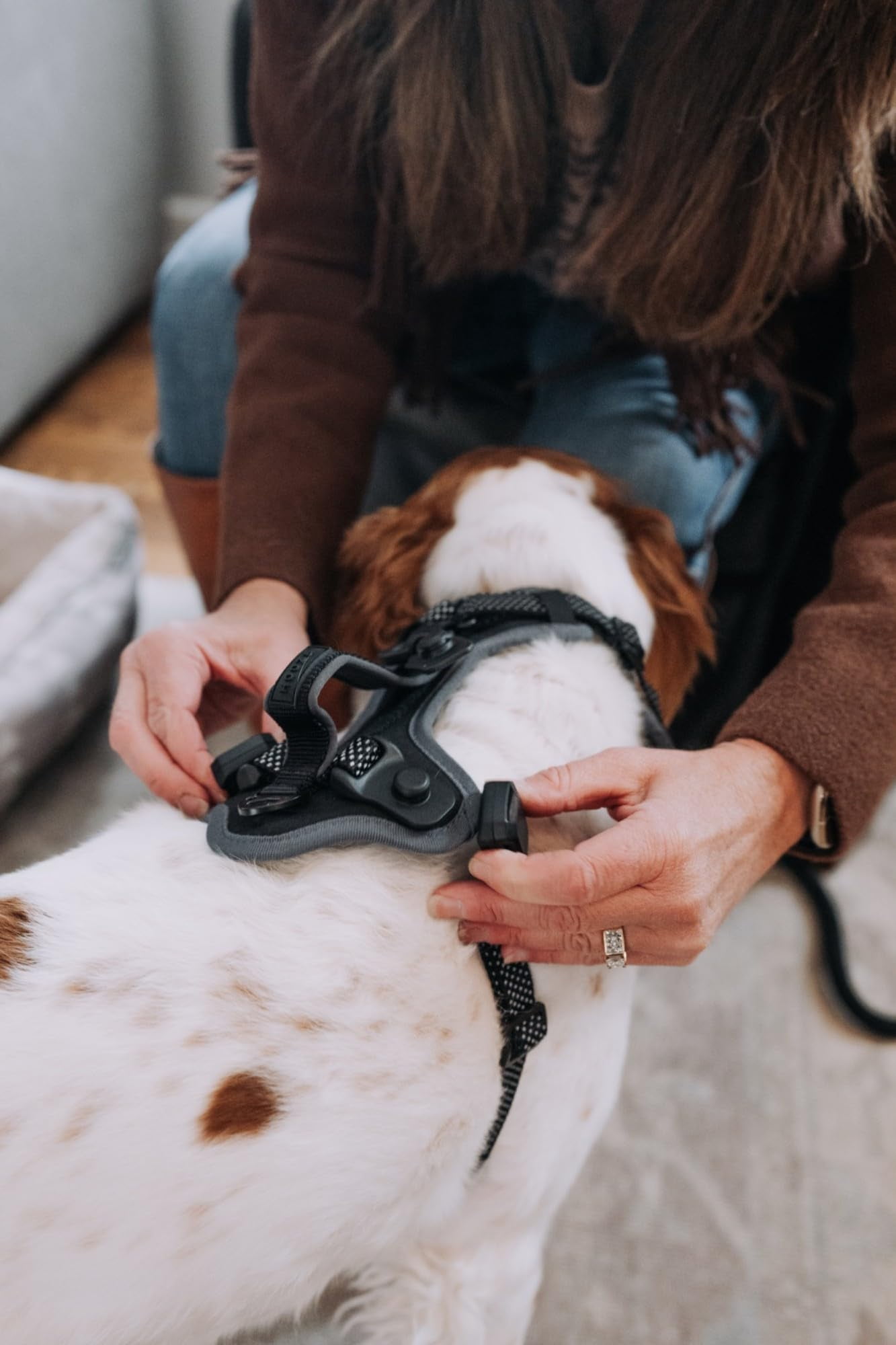 HOOZA Quick Clip Dog Harness & Rope Leash Set, Black Small – Magnetic Buckle, Reflective, Control