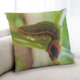 thumbnail image 1 of Ahgly Company Insects worm Coussin Intérieur, 18 Pouces par 18 Pouces, 1 of 6