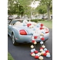 thumbnail image 3 of de boda,Suministros de boda Macarena Pom Pom de boda, 3 of 5