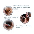 thumbnail image 5 of Collar antipulgas para mascotas, prevención de pulgas y garrapatas de tamaño pequeño para gatos, paquete de 4 collares antipulgas y garrapatas para gatos, 38 cm/15 pulgadas, 5 of 5