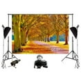 thumbnail image 2 of ABPHOTO Polyester Autumn theme grass fallen leaves trees tree lined landscape Photography Backdrops Studio Background Photo Backdrops Studio Props 7x5ft, 2 of 3