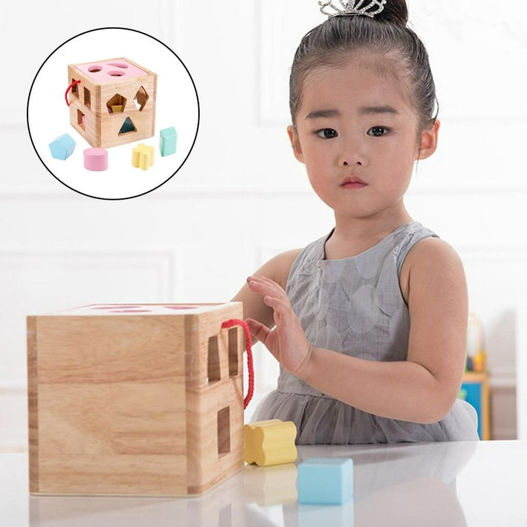 Block Toys Shape Sorter Puzzle Box Baby Toddler Buildings Educational Gifts  USA
