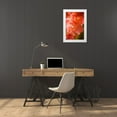thumbnail image 3 of Hausenflock, Alan 23x32 White Modern Wood Framed Museum Art Print Titled - Bella Rosa I, 3 of 4