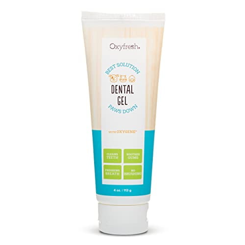 oxyfresh toothpaste walmart