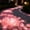 Pink, variant on Glow in the Dark Plastic Pebbles - 20 Pack Decorative Garden Stones for Planters, Pathways, Borders, Vases and Displays Pink