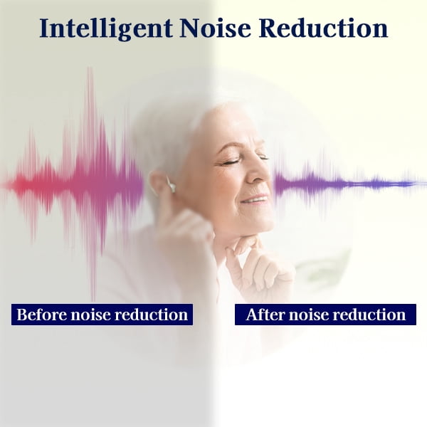HIBRIQ Rechargeable Hearing Aids with Noise Cancelling, Feedback Cancellation & Clear Speech for Seniors HH-1220AX