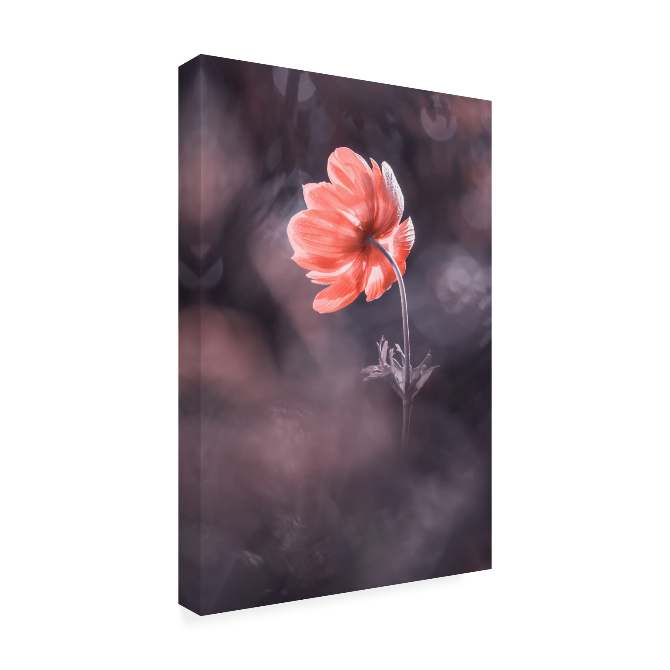 Trademark Fine Art Fabien BRAVIN  The Lighthouse Canvas Wall Art