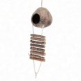 thumbnail image 4 of Coconut bird house with ladder for durability, 4 of 5