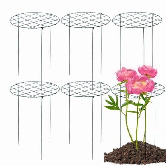 6 Pack Peony Cages and Supports Grow Through Plant Support Peony Support Ring for Outdoor Plants