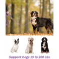 thumbnail image 2 of HAHDAXIA Padded Double Handle Slip Lead for Dogs, Comfy Cushion Slip Collar, Ultra Lightweight Anti Pull Dog Lead for Puppy Small Medium Large Dogs Training, Purple, 2 of 6