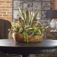 thumbnail image 1 of Uttermost Salar de Succulentes dans un Bol en Teck, 1 of 2