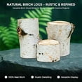 thumbnail image 7 of 17 Inch Natural Birch Logs - Decorative Dried Birch Wood Logs for Fireplace, Wedding Centerpieces - Unfinished Wood DIY Crafts, & Home Décor - Birch Log Bundle for Indoor Display (6 PCS) (2.5"-4", 7 of 7