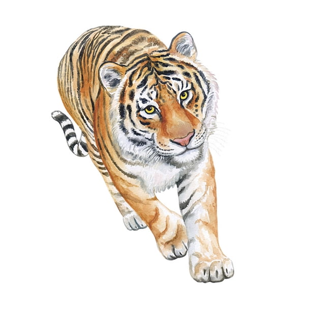 Advancent Calcomanía de puerta de tigre, Mural de tigre de dibujos animados, papel de pared adhesivo impermeable, pegatina 3D ligera, arte de pared de Decoración del hogar Advancent HA013131-00