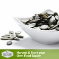 thumbnail image 7 of 5 Packs Lady Godiva Pumpkin Seeds - Non-GMO Heirloom Full Sun Annual Vegetable, 7 of 7