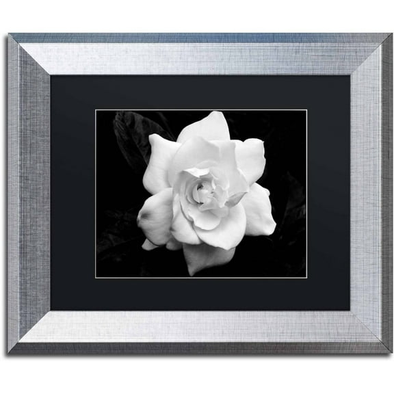 Trademark Fine Art "Gardenia in Black and White" Canvas Art by Kurt Shaffer, Black Matte, Silver Frame
