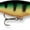Perch, variant on Rapala Shad Rap 05 Crankbait Fishing Lure 2" 3/16 oz Baby Bass