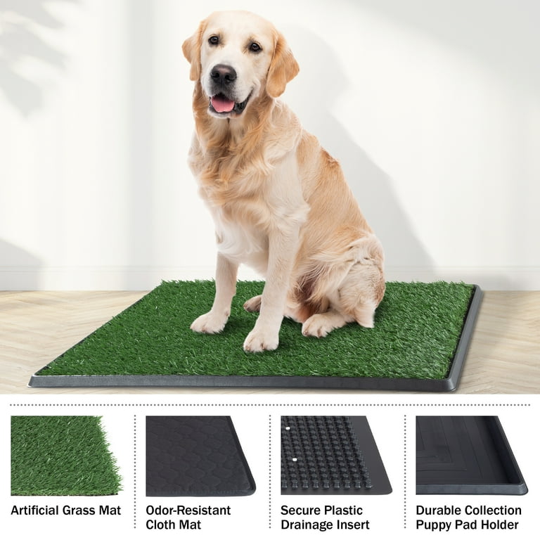 Artificial grass patch for dogs online